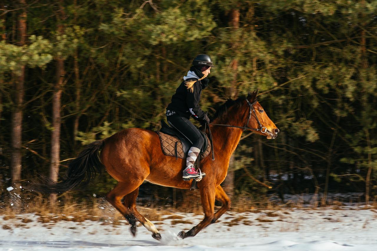 Malutkie Resort Radomsko Eksteriør bilde